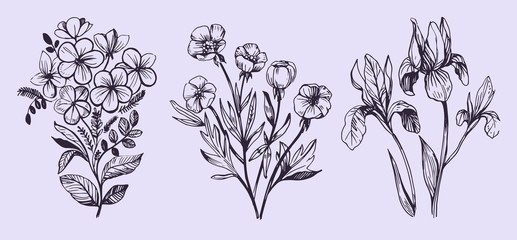 Flowers vector sketch