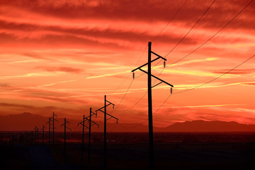 Obraz premium Telephone Power Poles in Countryside Sunset or Sunrise