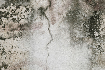 Grey grunge texture cement wall. copy space