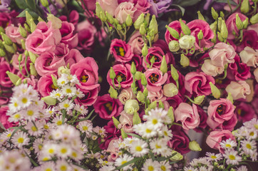 colorful pink white spring flowers