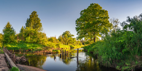 summer evening landscape. View of the river with overgrown coastlines from the old bridge to the light of the setting sun