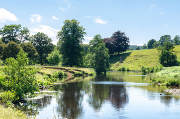 Fototapeta na wymiar View of a river in summertime as sheep graze in the middle ground. Photo of the Derwent River at Chatsworth Park in the Peak District, Derbyshire, England 