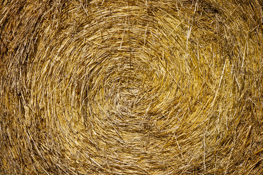 Circular pattern of harvested rolled hay with warm yellow and orange tones and texture. Spiral background design.