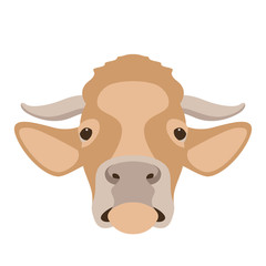  cow face head vector illustration flat style front