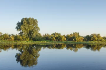 Foto op Canvas Landscape of river bank on clear summer day. Reflections of trees in water surface against blue clear sky. Natural scene of nature. Trees and plants on river shore. © dzmitrock87