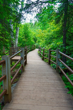 Scenic pathway along the Gooseberry River at Gooseberry Falls State Park in Minnesota