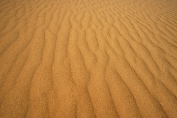 beautiful surface of sand dunes at sunset.