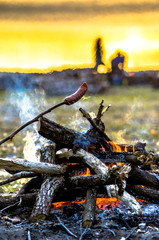 Friends on camping with campfire and sausages, camp in the wild