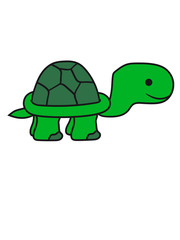 landschildkröte beine füße laufen gehen klein junges baby comic cartoon schildkröte panzer lustig süß niedlich design cool clipart