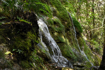 Whispering Falls Neuseeland