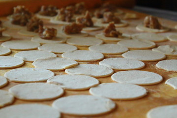 Molding the dumplings at home. Preparation of home-made dumplings.