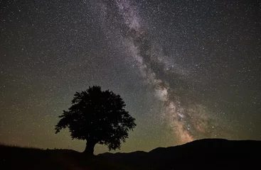 Zelfklevend Fotobehang Silhouette of lonely high tree under amazing starry night sky and Milky way. Carpathians mountains © anatoliy_gleb