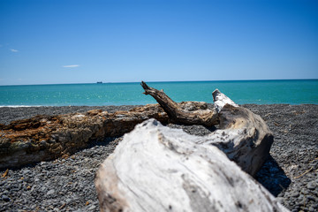 Fototapeta premium Napier Neuseeland
