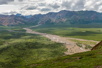 Fototapeta na wymiar A Mountain Stream Makes its Way Into the Tundra Valley of Alaska's Denali National Park