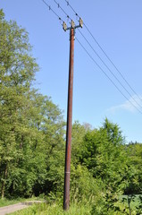Wooden electric pole with line and tree in background