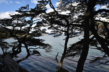 Rives boisées du canal de Beagle en Terre de Feu, Argentine