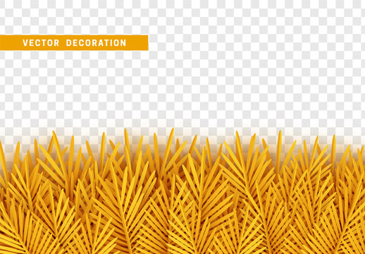 FREE Tree STOCK ASSETS | Adobe Stock