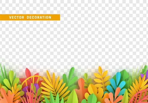 Grass, shape plant leaves border isolated with transparent background. Vector Illustration