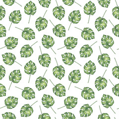 Seamless pattern of tropical monstera palm leaves