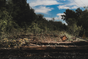 Abstract shot of metal plate stuck in rotten railway sleepers