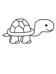 landschildkröte beine füße laufen gehen klein junges baby comic cartoon schildkröte panzer lustig süß niedlich design cool clipart