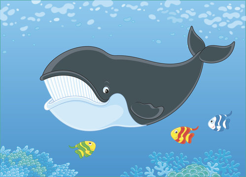 Bowhead whale swimming with funny small fishes in blue water, vector illustration