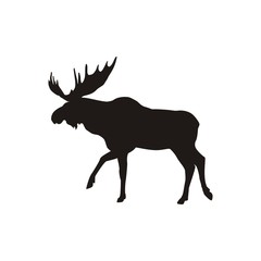 Силуэт лося