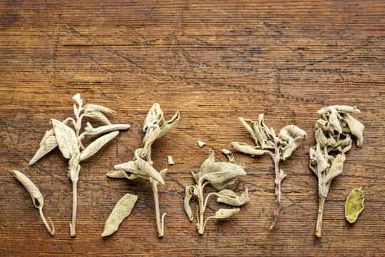 dry Greek sage herb (fascomilo)