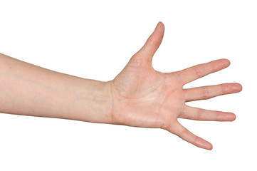 Caucasian woman's hand with fingers widely spread apart in a despairing gesture. Isolated on white.