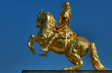 Fototapeta premium Dresden , Golden Rider..