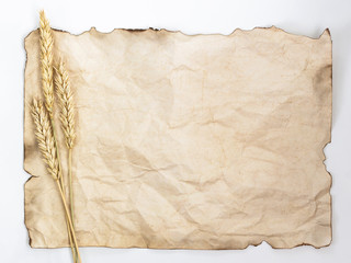 old vintage burnt paper with wheat on white background. copyspace for your text. concept retro design for menu, recipe