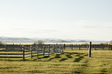 Rural landscape: green meadow and old wooden fence