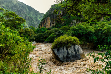 Obraz premium Rapids of the Vilcanota River (Urubamba) hit large rocks seen among the jungle undergrowth in Peru