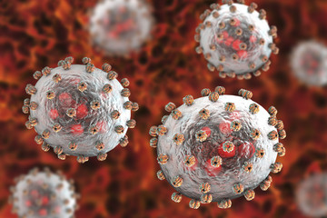 Lassa fever viruses, 3D illustration. RNA-viruses from Arenaviridae family, they have inner inclusions and outer glycoprotein spikes, the causative agent of Lassa hemorrhagic fever