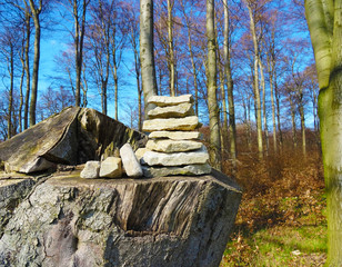 Steinstapel auf Baumstumpf
