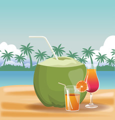 Beach and vacations cartoon elements vector illustration graphic design