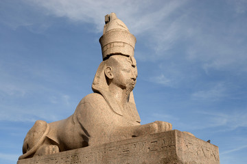 Fototapeta na wymiar Ancient Egyptian sphinx.