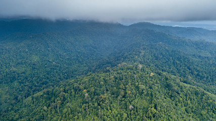 Fototapeta na wymiar Aerial drone view of a cloudy tropical rain forest