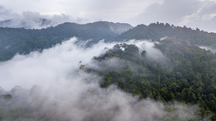 Aerial view of mist, cloud and fog hanging over a lush tropical rainforest after a storm