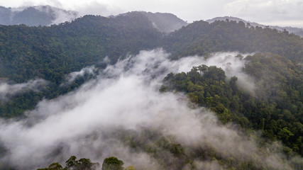 Aerial view of mist, cloud and fog hanging over a lush tropical rainforest after a storm