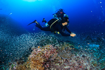 Naklejka na ściany i meble SCUBA diver swimming over a tropical coral reef