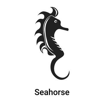 Seahorse icon vector sign and symbol isolated on white background, Seahorse logo concept