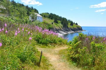 Parc Notional Forillon, Gasp&eacute;sie, Qu&eacute;bec