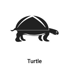 Turtle icon vector sign and symbol isolated on white background, Turtle logo concept