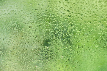 summer rain drops on window glass fresh green background texture