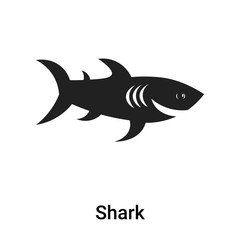 Shark icon vector sign and symbol isolated on white background, Shark logo concept