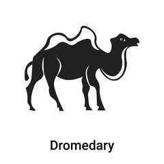Dromedary icon vector sign and symbol isolated on white background, Dromedary logo concept