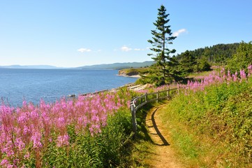 Parc Notional Forillon, Gasp&eacute;sie, Qu&eacute;bec