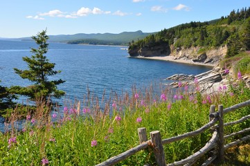 Parc Notional Forillon, Gasp&eacute;sie, Qu&eacute;bec