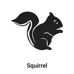 Squirrel icon vector sign and symbol isolated on white background, Squirrel logo concept